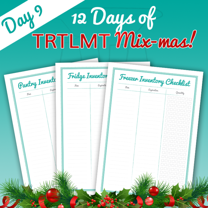 TRTLMT 12 Days Of Mix Mas! | Day 4   The Road To Loving My Thermo Mixer